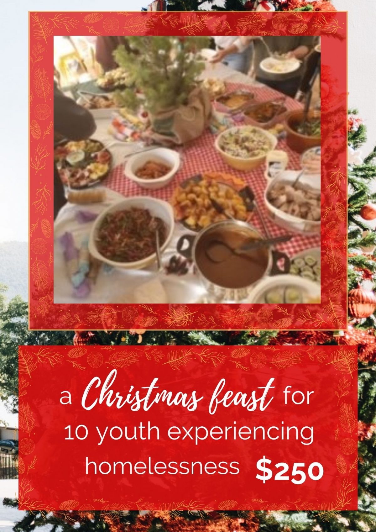 a Christmas feast for 10 young people experiencing homelessness. $250